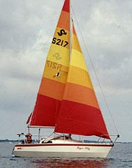 swift18.jpg
